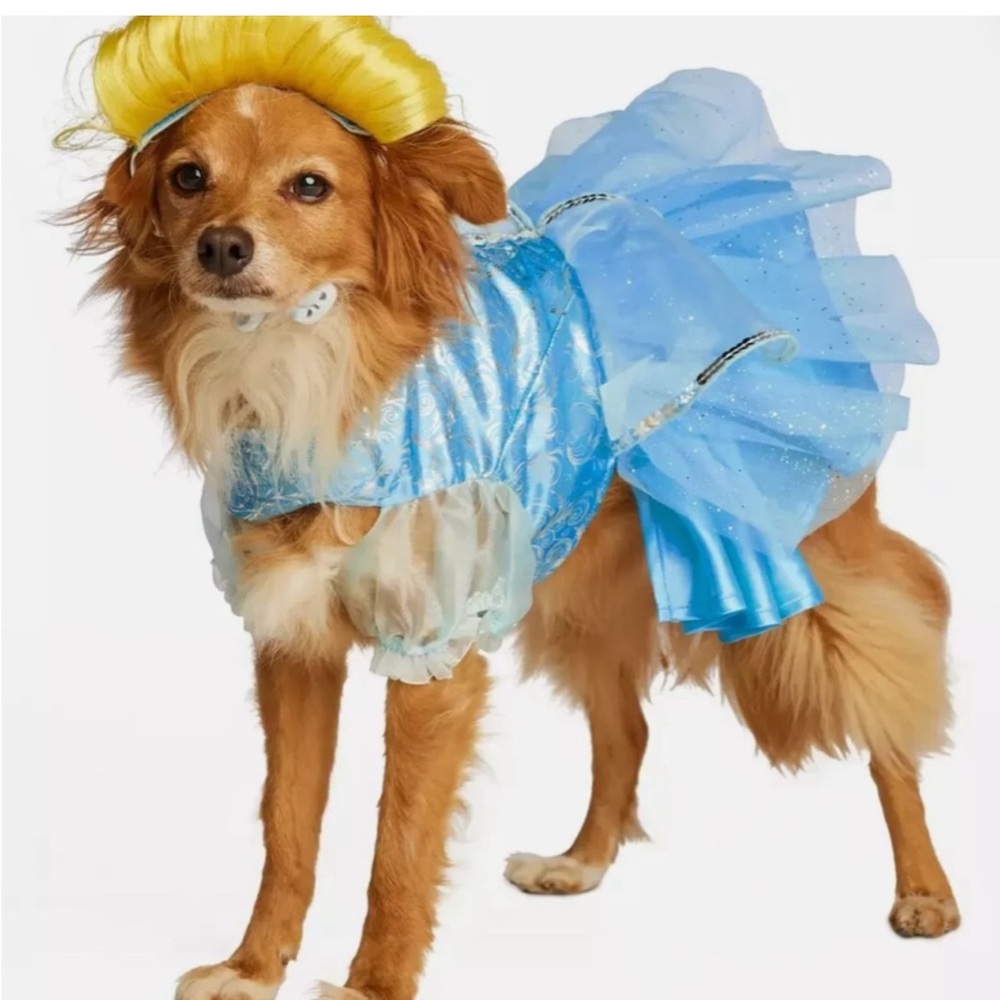 Disney Cinderella Blue Dog costumes Dress with Yellow Wig M Medium